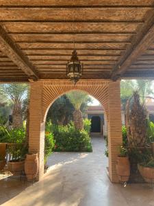 Riad le Jasmin外面的花园