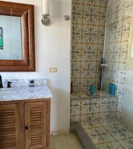 uma casa de banho com um chuveiro, um lavatório e um espelho. em Twin Coves House home em Governorʼs Harbour