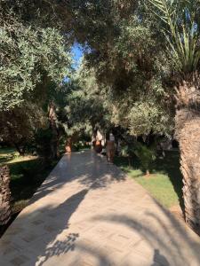 Riad le Jasmin外面的花园