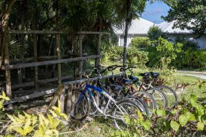 um grupo de bicicletas estacionadas ao lado de uma cerca em Provender home em Savannah Sound