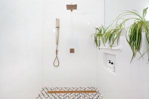a bathroom with a shower with a plant at Back Haus - Views, Dark Skies and Fire Pit! home in Joshua Tree