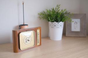 a small radio sitting on a table with a potted plant at Ferienwohnung Arendsee in Arendsee