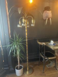 a table and a lamp with a plant in a room at The Twenty One in Brighton & Hove