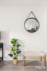 a mirror hanging on a wall next to a bench and a plant at Fun Weekend Getaway Modern Decor, Parking, and Deck in Austin