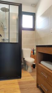 a bathroom with a toilet and a window at Villa Papillon***. Location appartement 1er étage. in Ronce-les-Bains +22 photos