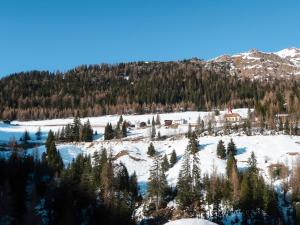 Príroda v okolí apartmánu