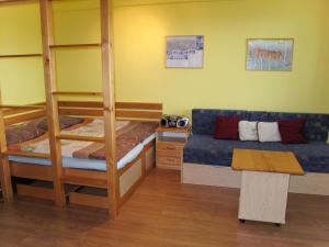 a bedroom with two bunk beds and a couch at Apartment Horní Mísečky - HMS110 by Interhome in Vítkovice