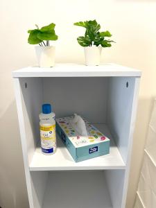 a white shelf with two plants and a box at Pension Hammer in Mensfelden