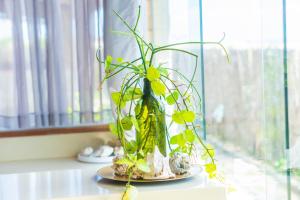 Imagem da galeria de Beira-mar Chalé Maceió - Camocim em Maceió