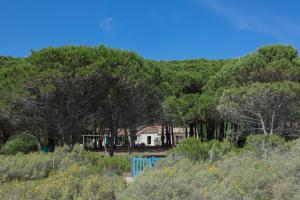 una casa di fronte a una collina con alberi di MAISONS BORD DE MER- MARINE DE SORBO - Gîtes 3 épis a Pinarellu