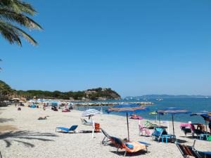 Táj Show holiday homes közelében