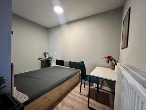 Schlafzimmer mit einem Bett, einem Schreibtisch und einem Tisch in der Unterkunft Apartamenty Milionowa z garażem i klimatyzacją in Łódź