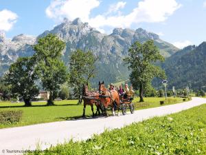 Fotografie z fotogalerie ubytování Holiday Home Waldkauz groß by Interhome v destinaci Pfarrwerfen