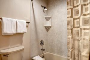 une salle de bain avec une douche avec des toilettes et un lavabo dans l'établissement Slopeside 2741, à Keystone