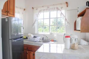 uma cozinha com um frigorífico, um lavatório e uma janela em Van Villa Guesthouse em Negril