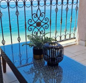 a glass table with a plant on a balcony with a window at Apartmani Marina Gradac in Gradac