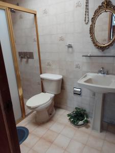 łazienka z toaletą i umywalką w obiekcie Habitación independiente colibrí w mieście Aguascalientes