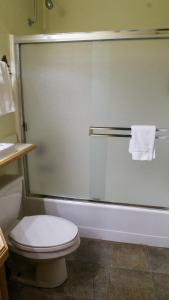 uma casa de banho com um chuveiro, um WC e um lavatório. em Northstar Village 237 em Truckee