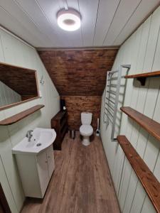 uma casa de banho com um WC e um lavatório em Ilūkstes Sauna apartamenti (bezkontakta) em Ilūkste