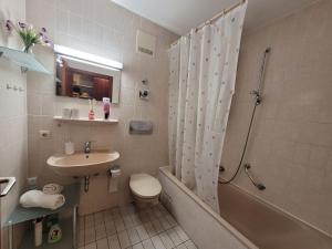 e bagno con doccia, servizi igienici e lavandino. di Appartement an der Weinstraße Bad Bergzabern a Bad Bergzabern