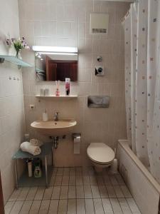 a bathroom with a sink and a toilet and a shower at Appartement an der Weinstraße Bad Bergzabern in Bad Bergzabern