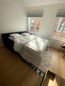 a bedroom with a bed in a room with two windows at Appartement 50 m2 avec Rooftop Lille Centre in Lille