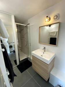 La salle de bains est pourvue d'un lavabo, d'un miroir et d'une douche. dans l'établissement Appartement 50 m2 avec Rooftop Lille Centre, à Lille