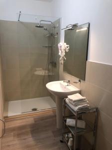 La salle de bains est pourvue d'un lavabo et d'une douche. dans l'établissement Prealpina Hotel, à Bagnolo Piemonte