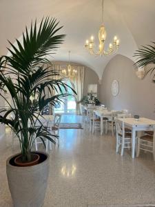 une salle à manger avec des tables blanches et une plante en pot dans l'établissement Don Peppe B&B, à Monopoli