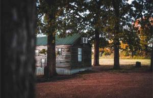 a log cabin with trees in front of it at Lakefront Cedar Cabin - 8 in Mead +2 photos
