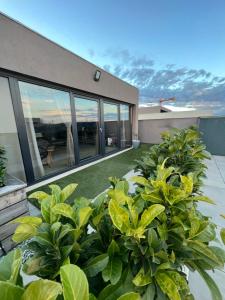 una casa con grandes ventanas y plantas en el patio en Jacuzzi Home, en Oradea