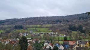 un villaggio in montagna con case e alberi di Fridolin a Eichenbühl 1 altra foto