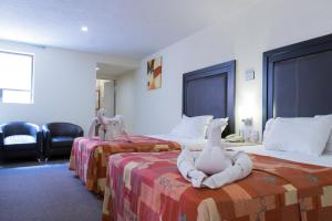 een hotelkamer met twee bedden met knuffels erop bij Hotel Posada Guadalupe in Puebla