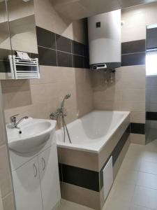 a bathroom with a sink and a bath tub at Hostel RK in Horažďovice