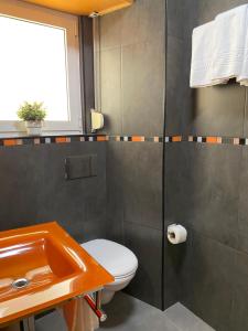 bagno con servizi igienici e lavandino di A Berlenga 2 a Nazaré
