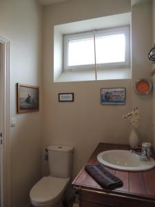 een badkamer met toilet, wastafel en raam bij Chambre d'hôte le jardin de l'Esplanade Rennes Centre et gare in Rennes +7 foto's