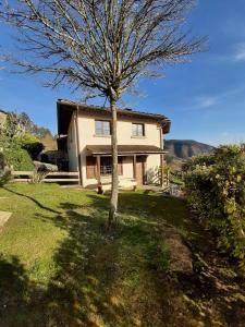 un árbol en el patio de una casa en La Marzagrappola, en Moggiona
