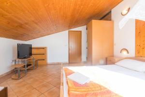 Et tv og/eller underholdning på Apartments Crljenko