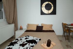 Fotografie z fotogalerie ubytování Martha's studios Kefalonia v destinaci Kefallonia + 24 fotografií