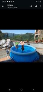 una foto de dos personas en una piscina azul en casa Dany, en Bagni di Lucca