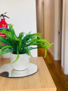 a green plant in a white vase on a table at The Grand M London city in London