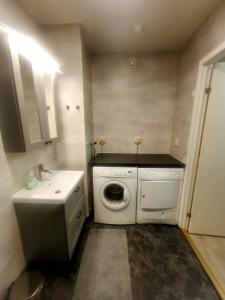 a bathroom with a washing machine and a sink at Exklusiv flat with office 25 min from Östersund 