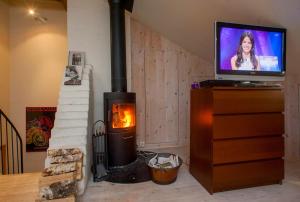 a living room with a television and a fireplace at Etage flat Stockholm Stora Essingen in Stockholm