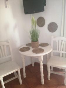 - une table avec deux chaises et une plante en pot dans l'établissement Apartamentos Benalmadena Toni, à Benalmádena