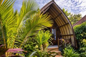 a house with a bunch of plants in front of it at The Catar Cottages in Nusa Penida