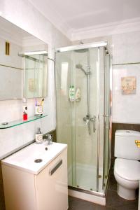 a bathroom with a shower and a toilet and a sink at OJOS BONITOS in Adeje