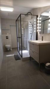 a bathroom with a shower and a sink and a toilet at Logement avec deux chambres dans maison de village in Vaillant
