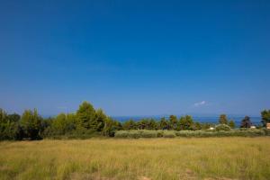 Paesaggio naturale nelle vicinanze della casa vacanze