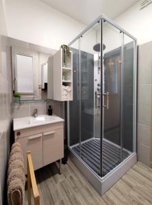 La salle de bains est pourvue d'une douche et d'un lavabo. dans l'établissement Groom Épernay - Le Petit Tonnelier, à Épernay