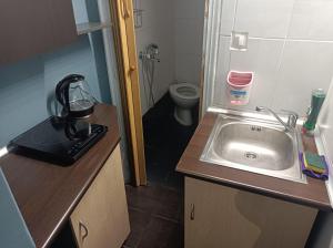 Baño pequeño con lavabo y aseo en Apartment Dipla 2 en Atenas